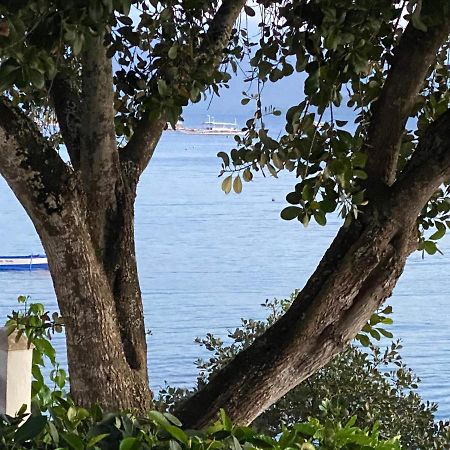 Pescador View - Beachfront & Nearby The Ocean Hostels & Restaurant Moalboal Exteriör bild