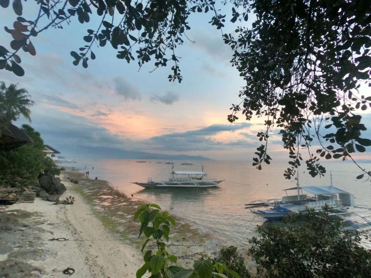 Pescador View - Beach Resort & Restaurant Moalboal Exteriör bild