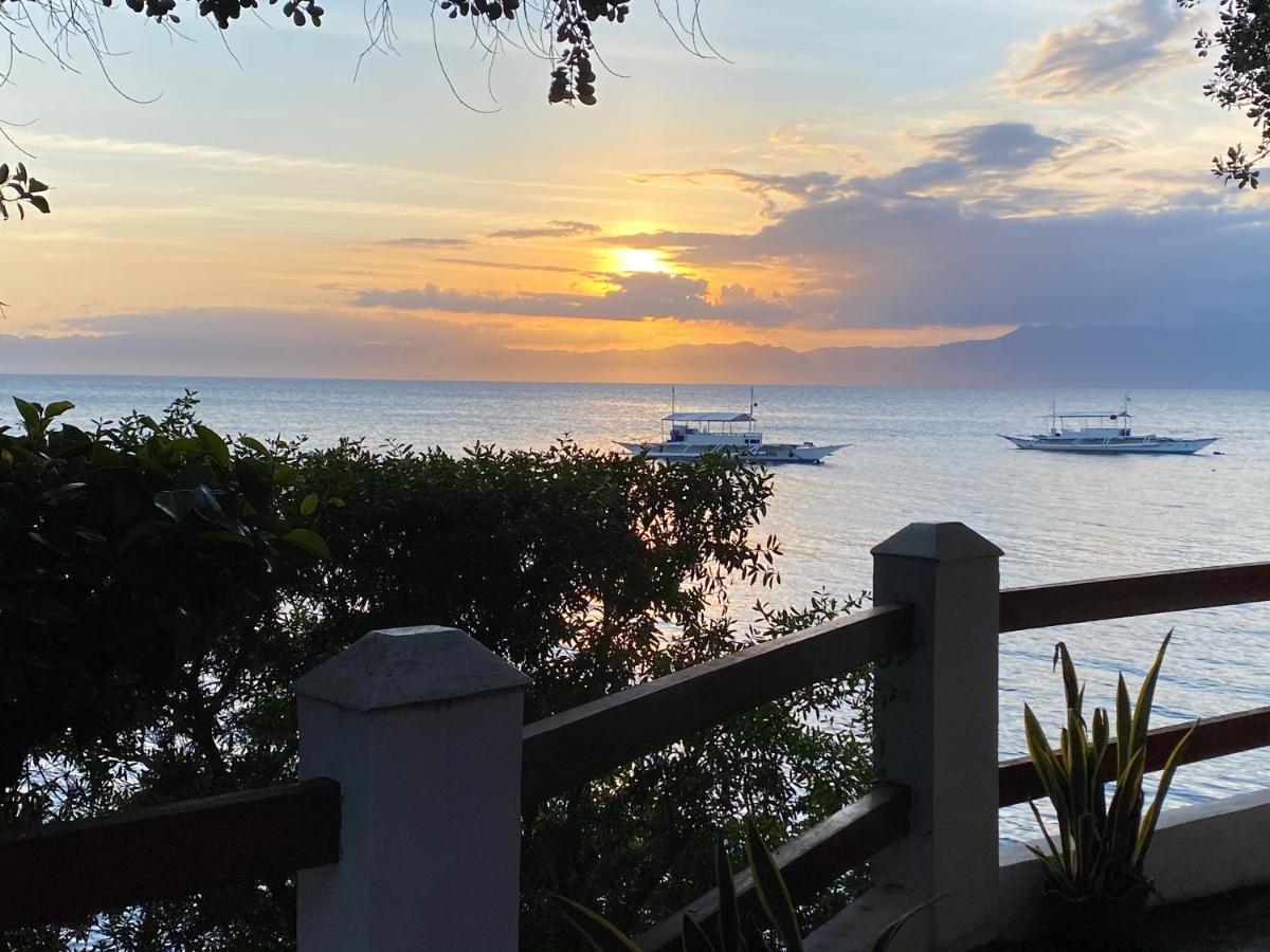 Pescador View - Beachfront & Nearby The Ocean Hostels & Restaurant Moalboal Exteriör bild