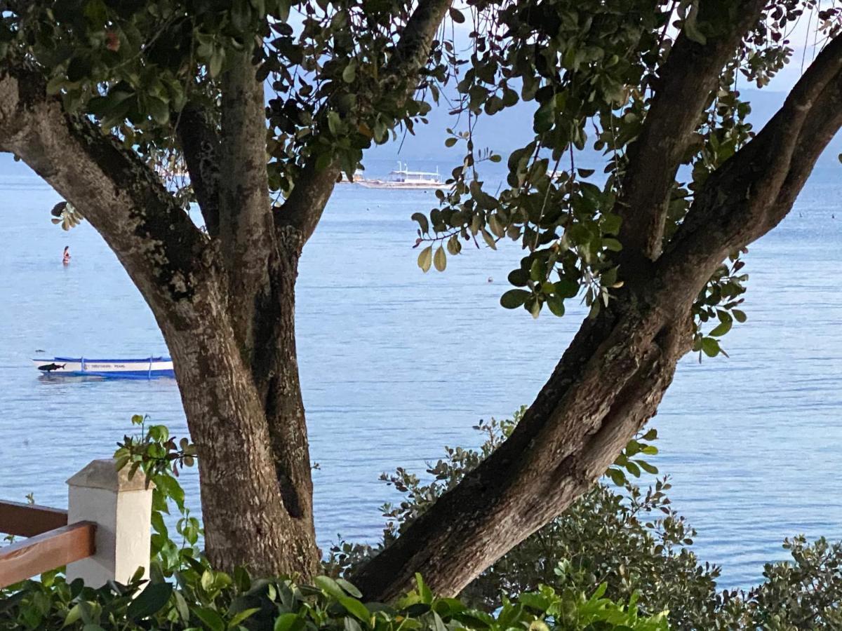 Pescador View - Beachfront & Nearby The Ocean Hostels & Restaurant Moalboal Exteriör bild
