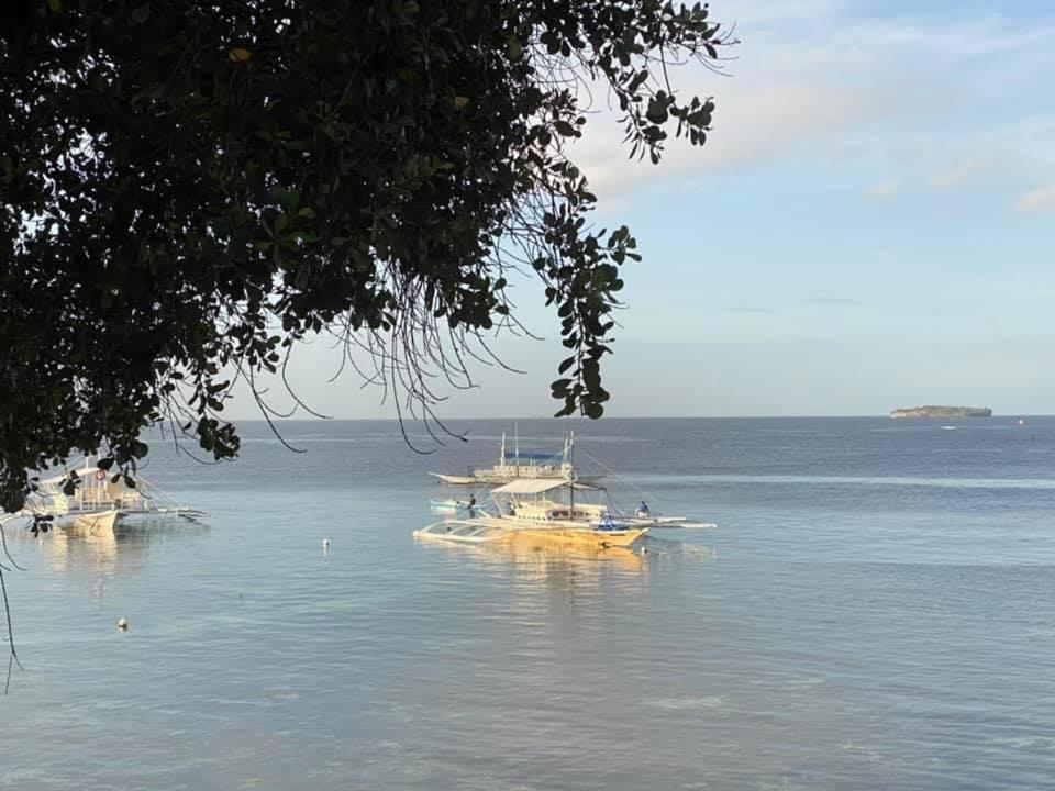 Pescador View - Beachfront & Nearby The Ocean Hostels & Restaurant Moalboal Exteriör bild