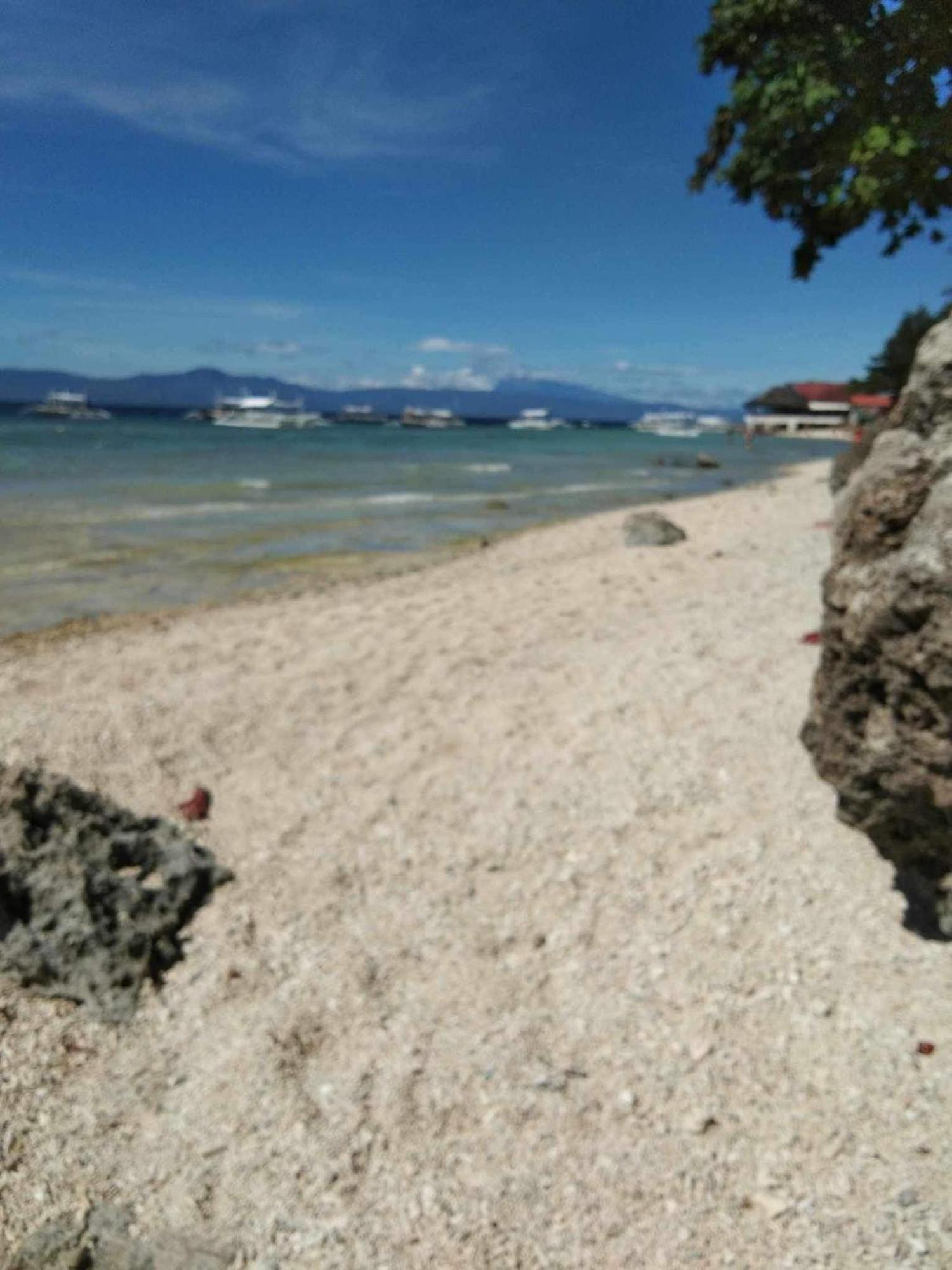 Pescador View - Beachfront & Nearby The Ocean Hostels & Restaurant Moalboal Exteriör bild