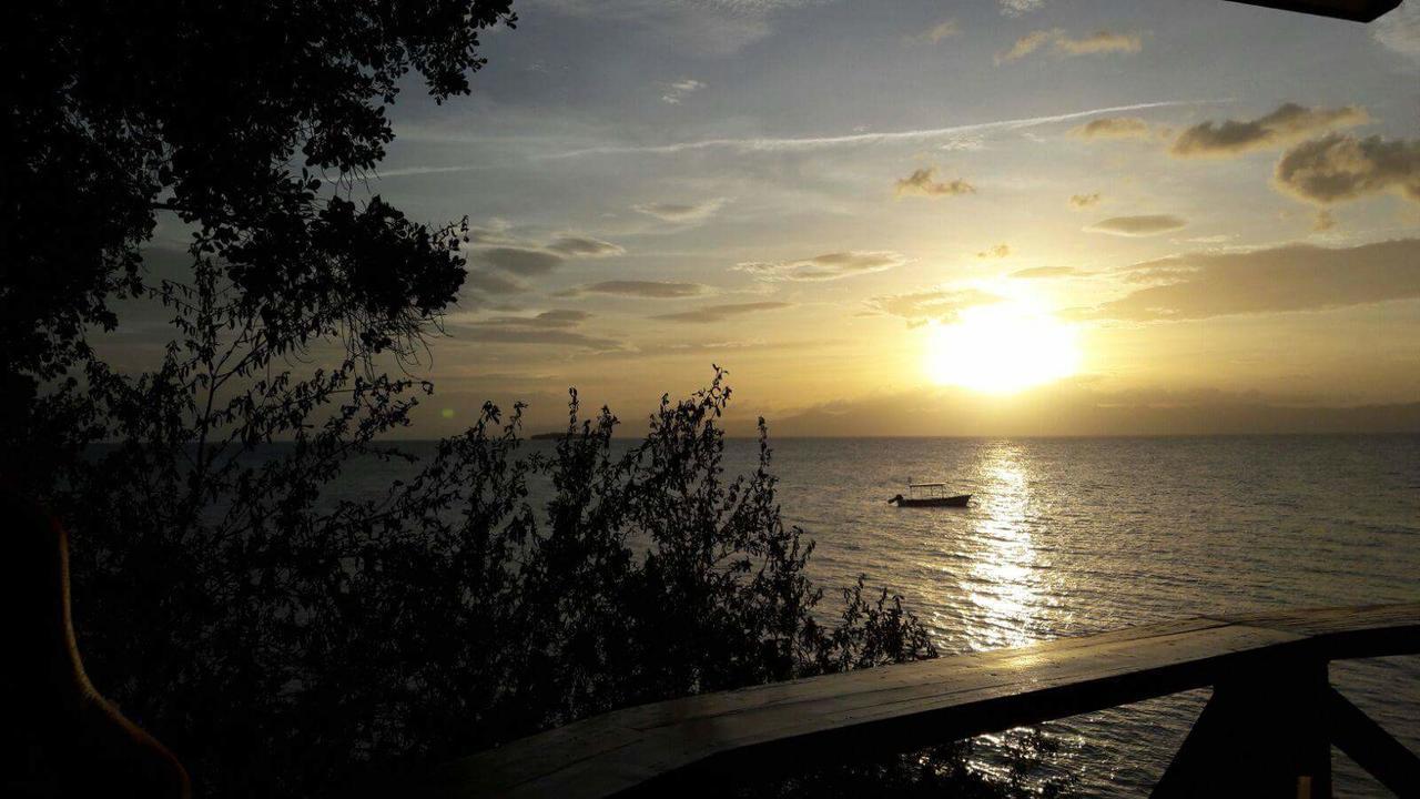 Pescador View - Beachfront & Nearby The Ocean Hostels & Restaurant Moalboal Exteriör bild